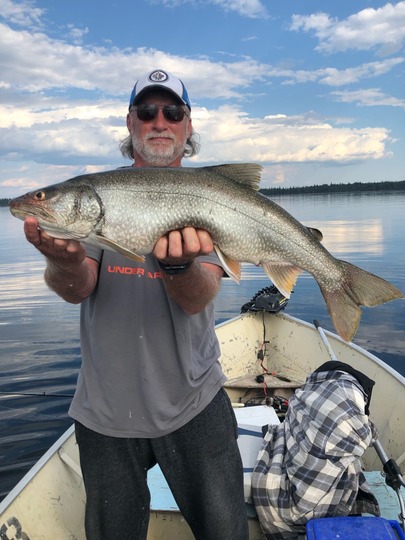 Lake Trout