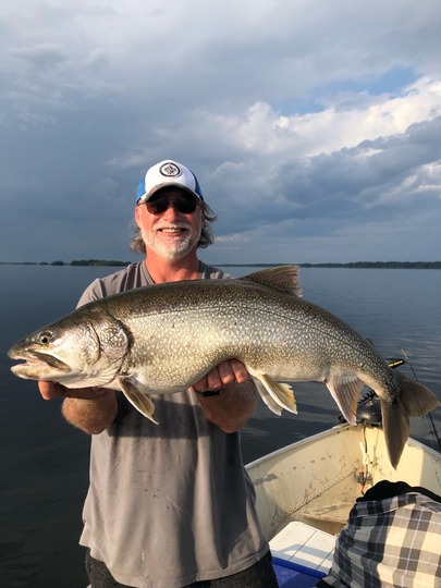 Lake Trout