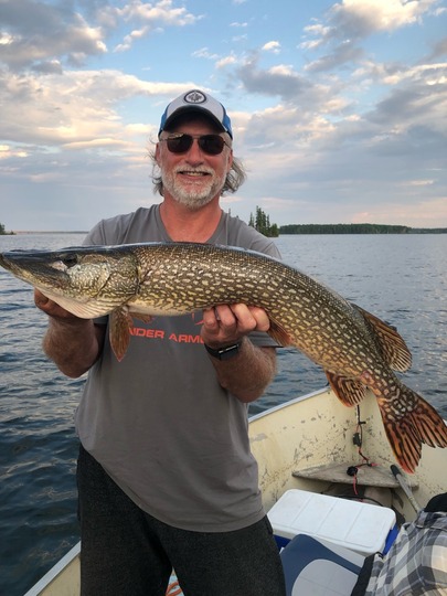 Northern Pike