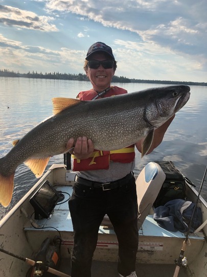 Lake Trout