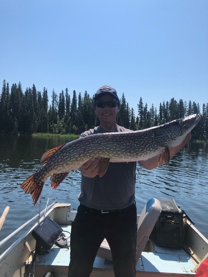 Northern Pike
