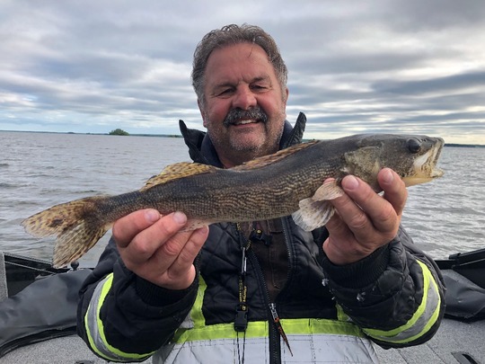 Sauger