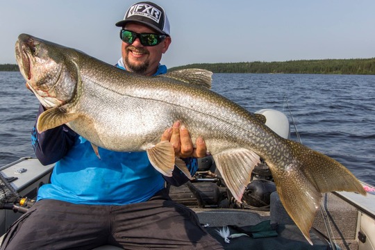 Lake Trout
