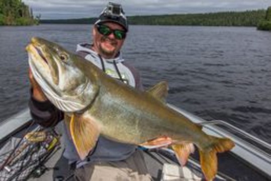 Lake Trout