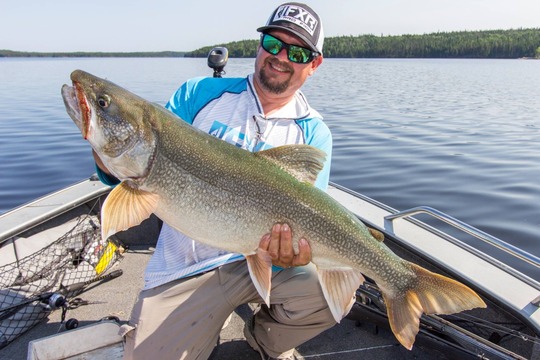 Lake Trout
