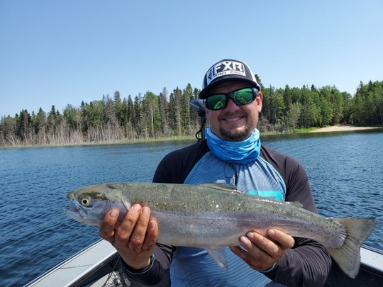 Rainbow Trout