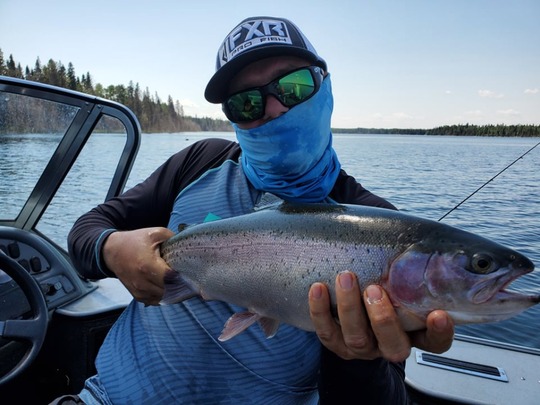 Rainbow Trout