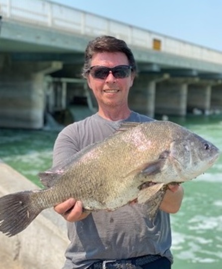 Freshwater Drum