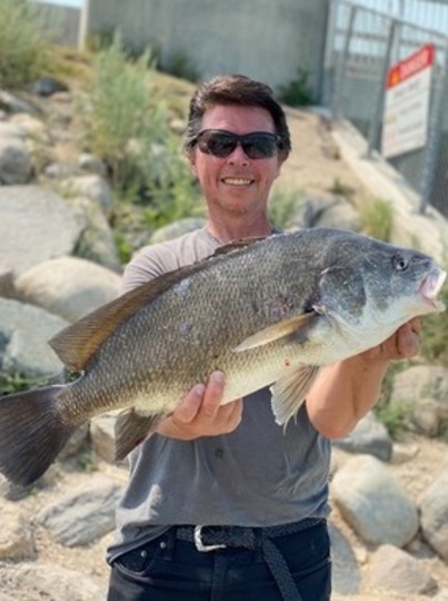 Freshwater Drum