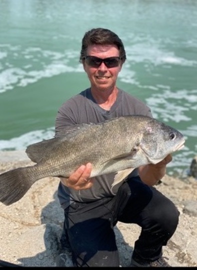 Freshwater Drum