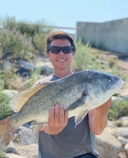 Freshwater Drum