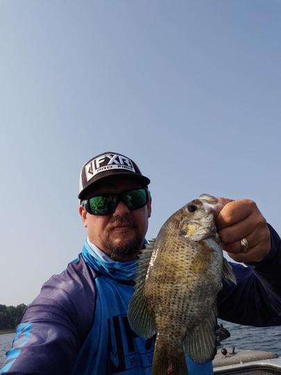 Rock Bass