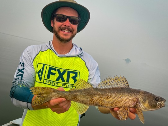 Sauger