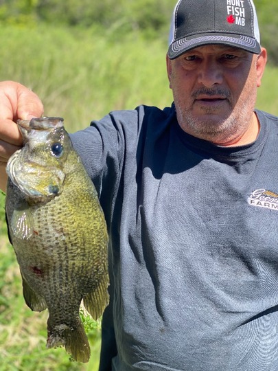 Rock Bass