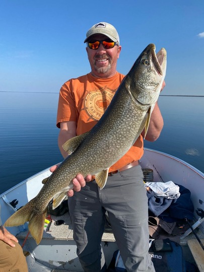 Lake Trout