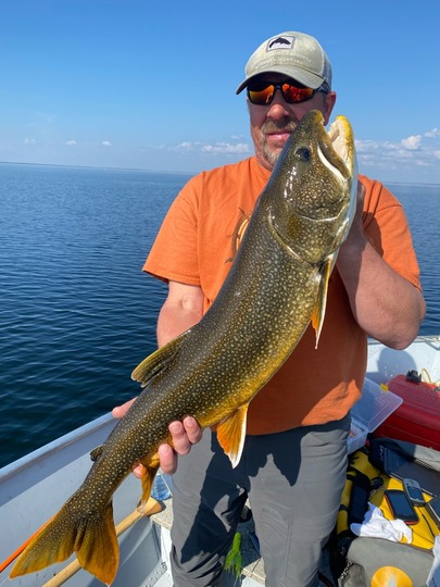 Lake Trout