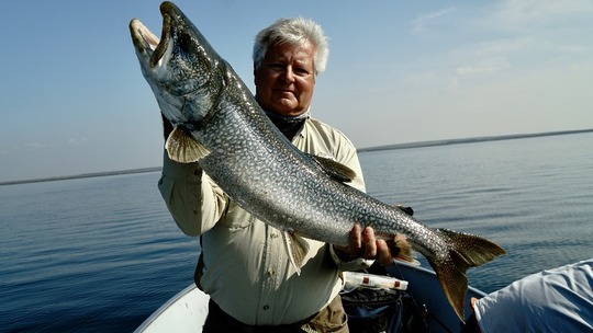 Lake Trout