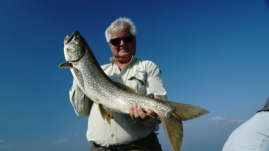Lake Trout