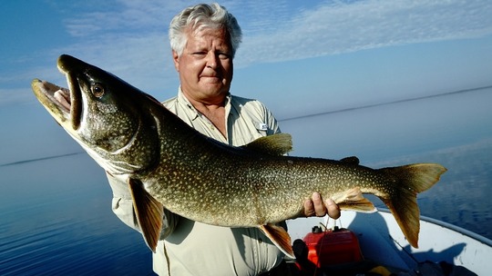 Lake Trout