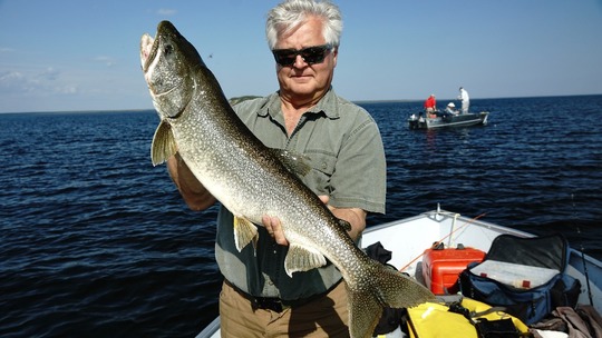 Lake Trout