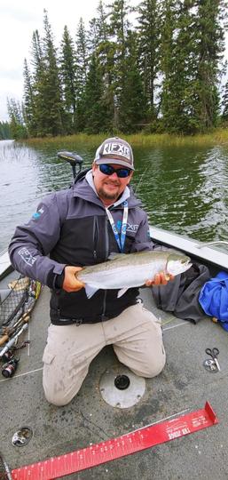Rainbow Trout