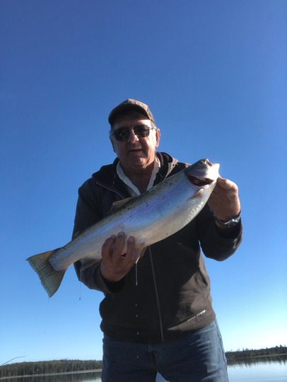 Rainbow Trout