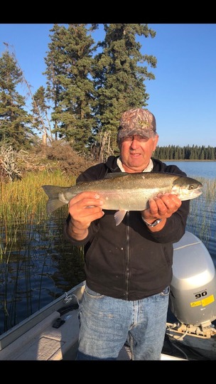 Rainbow Trout