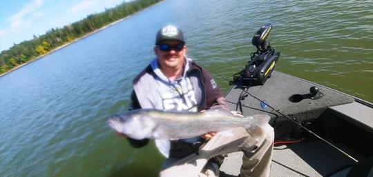 Walleye