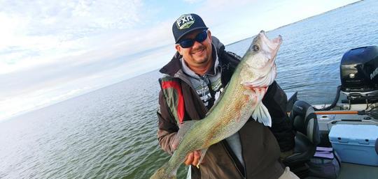 Walleye