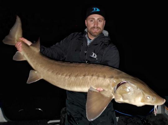 Lake Sturgeon