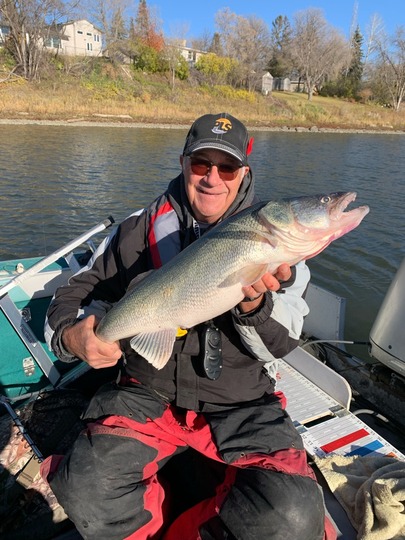 Walleye