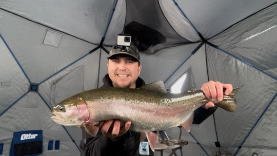 Rainbow Trout