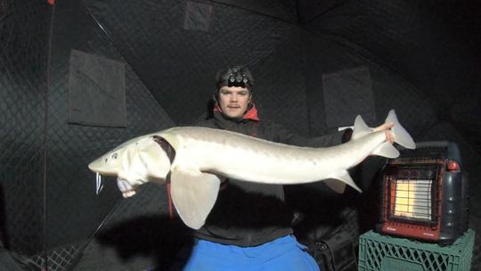 Lake Sturgeon