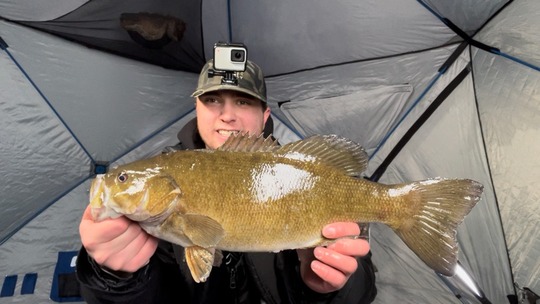 Smallmouth Bass