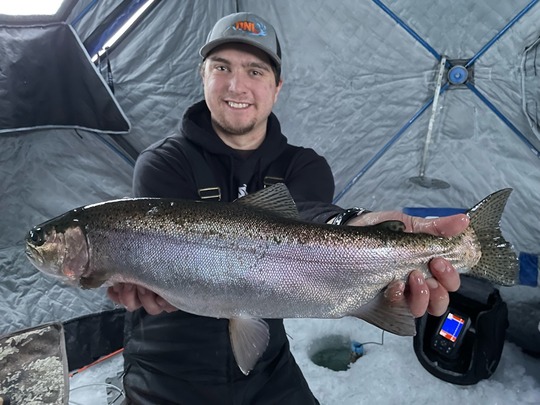Rainbow Trout