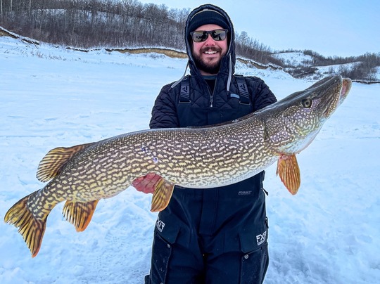Northern Pike