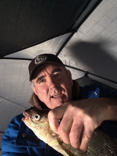 Lake Whitefish