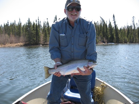 Rainbow Trout
