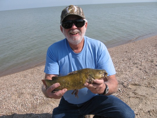Bullhead