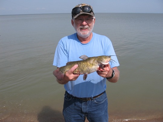 Bullhead