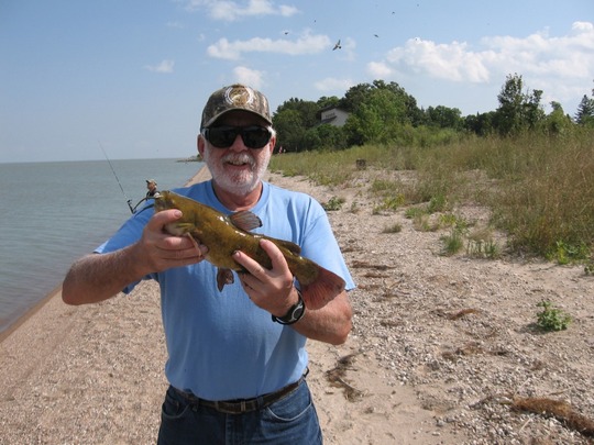 Bullhead