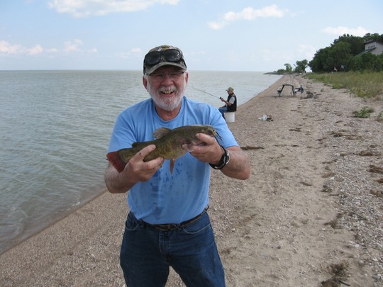 Bullhead