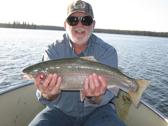 Rainbow Trout