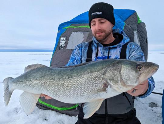 Walleye