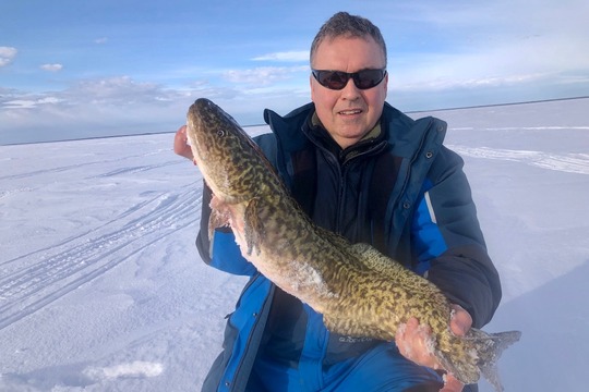 Burbot