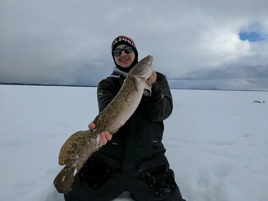 Burbot