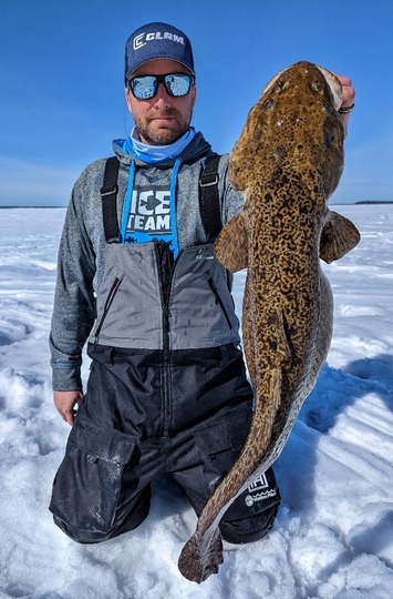 Burbot
