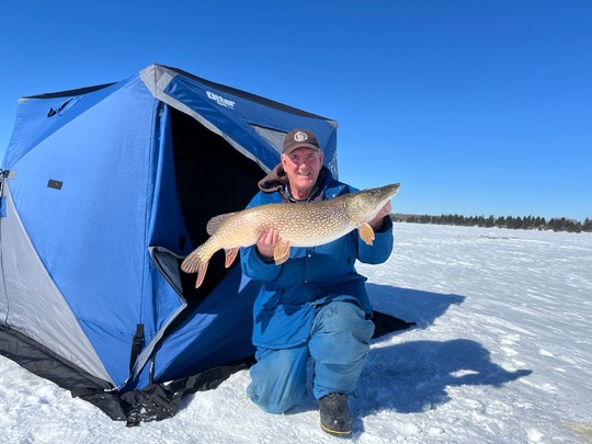 Northern Pike