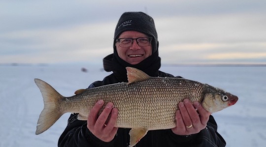 Lake Whitefish