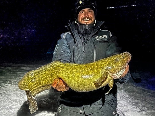 Burbot